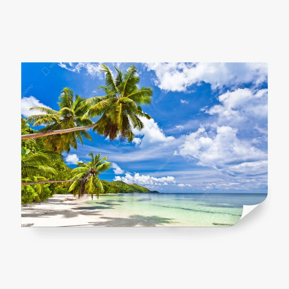 Carta da parati paradiso tropicale sulla spiaggia • Wallissimo® Carta da parati paradiso tropicale sulla spiaggia • Wallissimo®