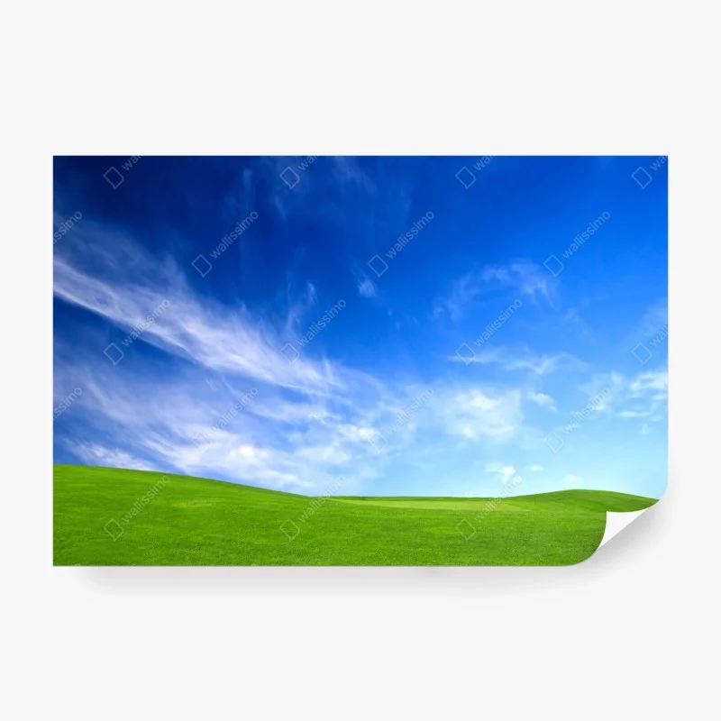 Carta da parati prato verde sotto un cielo azzurro