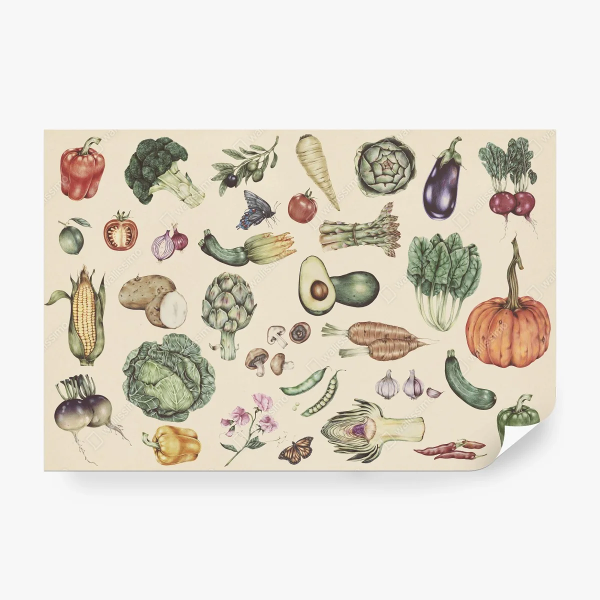 Carta da parati motivo botanico di verdure disegnate a mano • Wallissimo® Carta da parati motivo botanico di verdure disegnate a mano • Wallissimo®