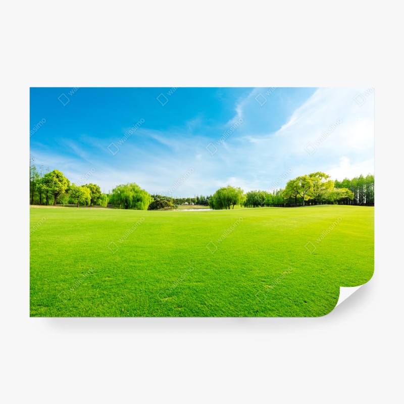Carta da parati paesaggio primaverile: prato verde e alberi