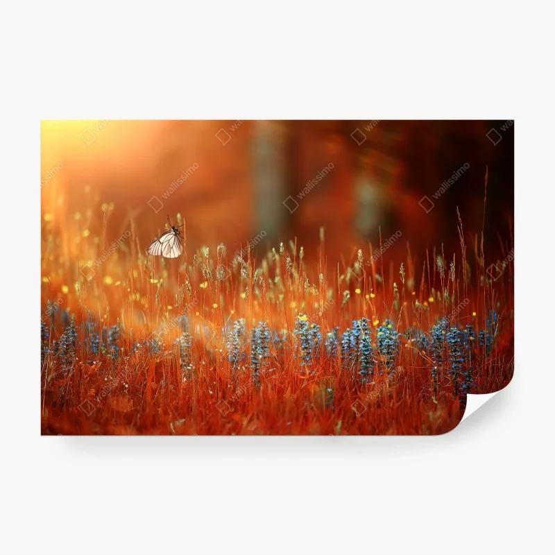Carta da parati romantico tramonto con farfalla su prato fiorito