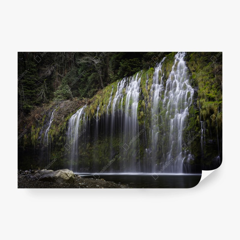 Carta da parati cascata di muschio nella foresta