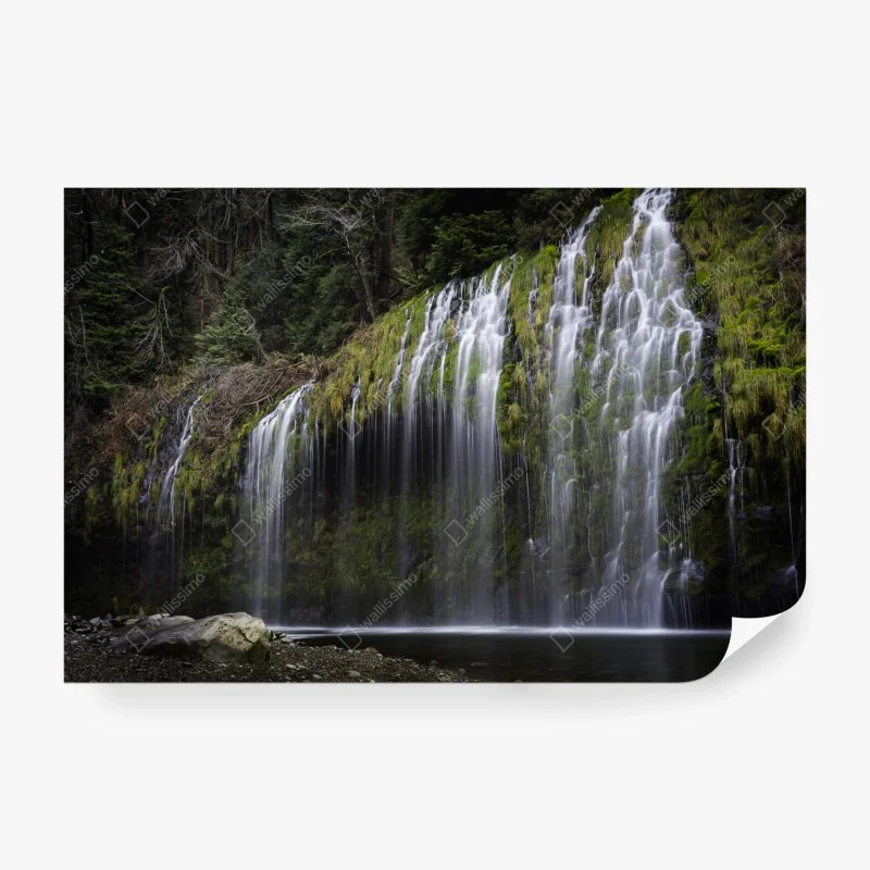 Carta da parati cascata di muschio nella foresta