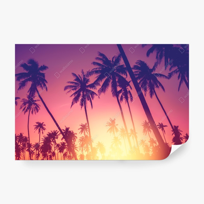 Carta da parati tramonto tropicale tra palme ondeggianti