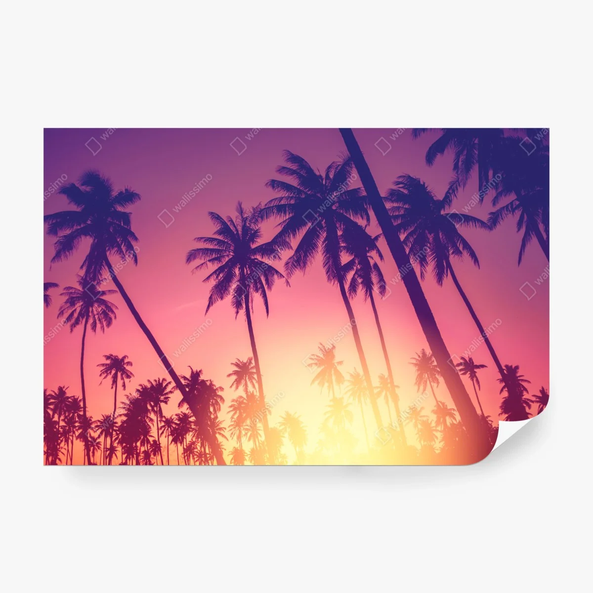 Carta da parati tramonto tropicale tra palme ondeggianti • Wallissimo® Carta da parati tramonto tropicale tra palme ondeggianti • Wallissimo®