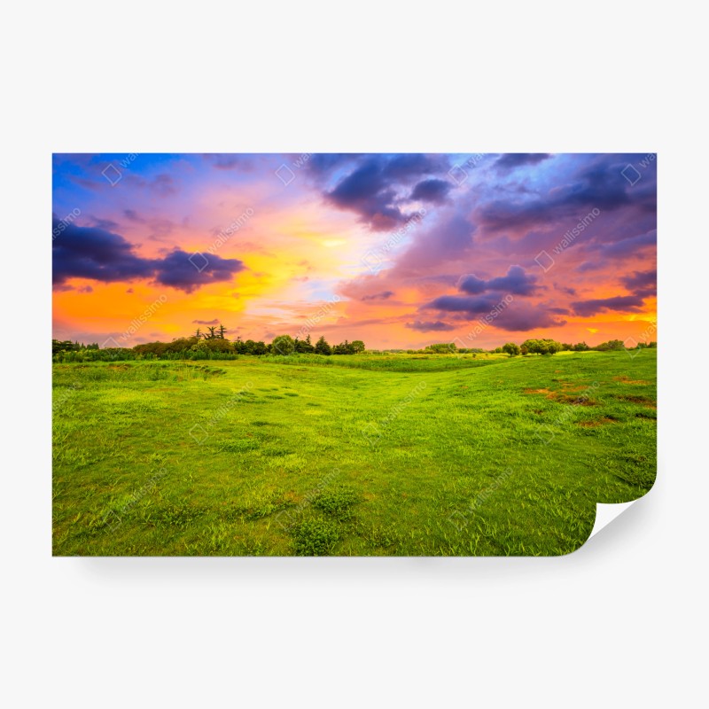 Carta da parati tramonto sul prato verde