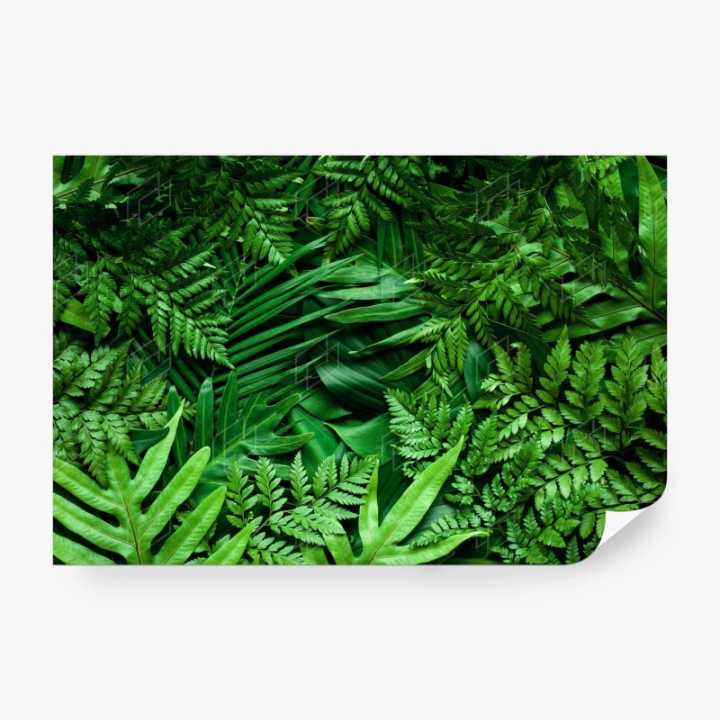 Carta da parati motivo botanico di foglie tropicali