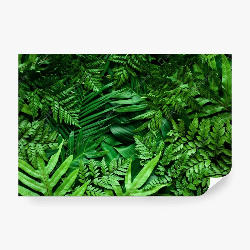 Carta da parati motivo botanico di foglie tropicali