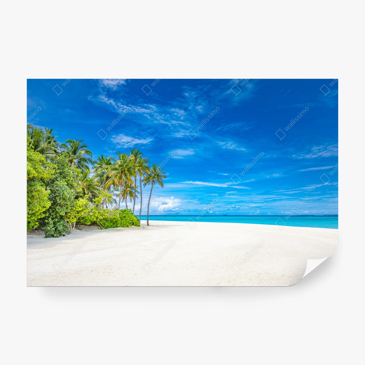 Carta da parati oasi di palme e mare turchese • Wallissimo® Carta da parati oasi di palme e mare turchese • Wallissimo®