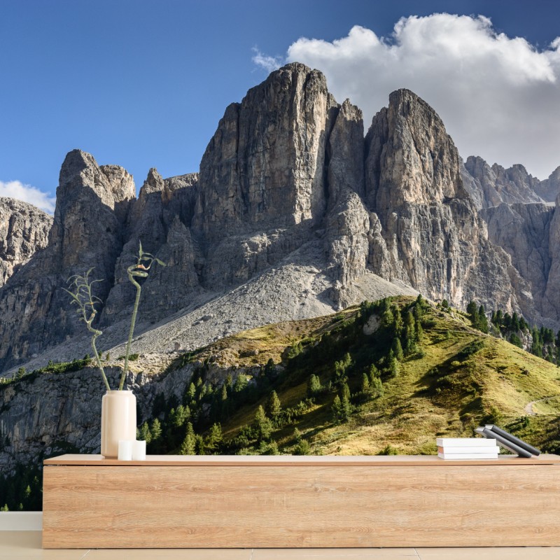Carta da parati panorama alpino: cime rocciose e prati verdi