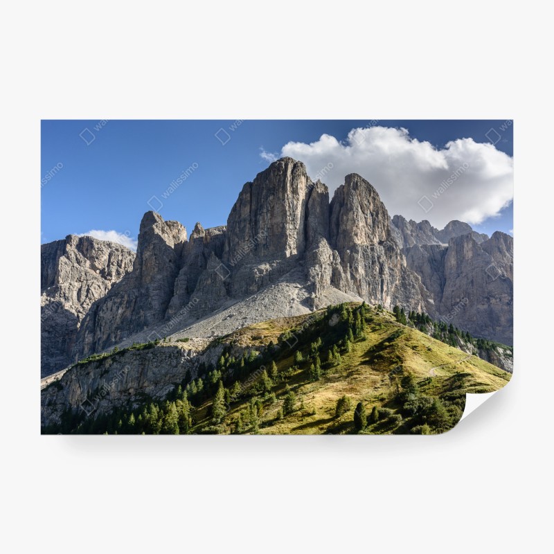 Carta da parati panorama alpino: cime rocciose e prati verdi