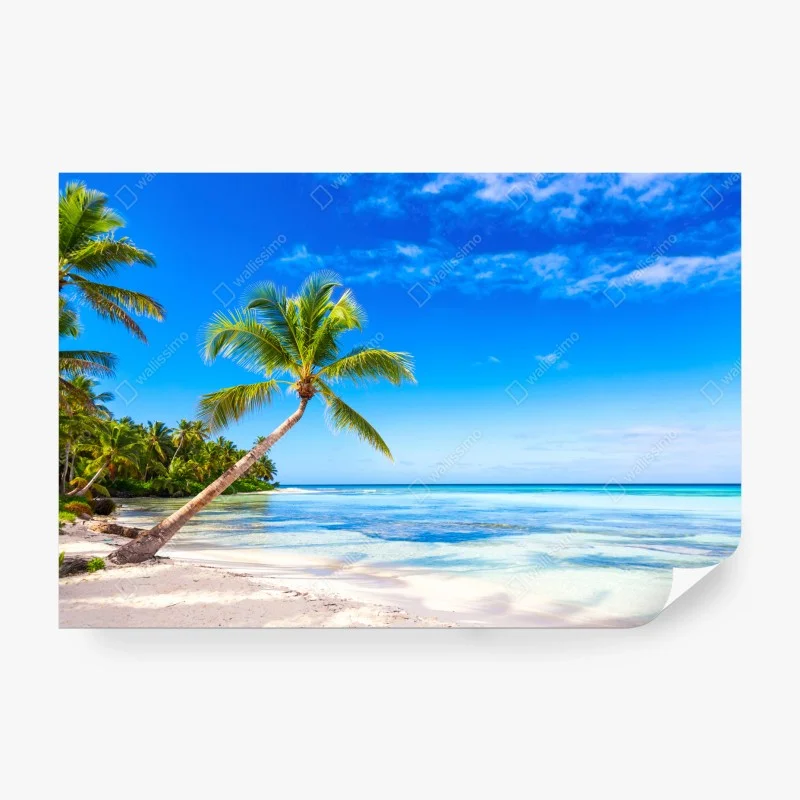 Carta da parati paesaggio tropicale con palma inclinata sul mare