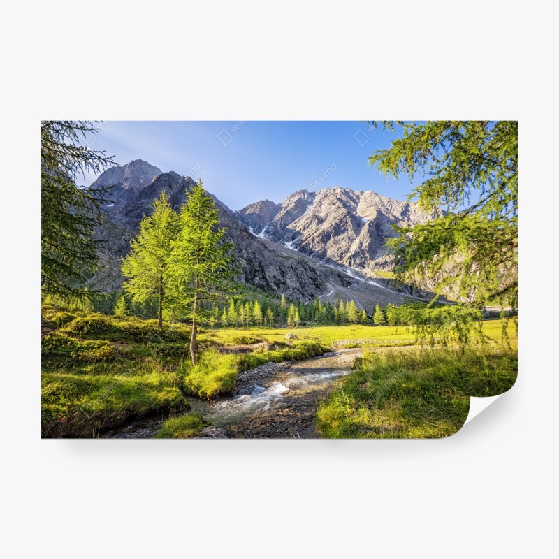 Carta da parati paesaggio alpino con torrente e larici
