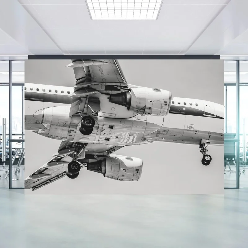 Carta da parati vista dal basso di un aereo in avvicinamento