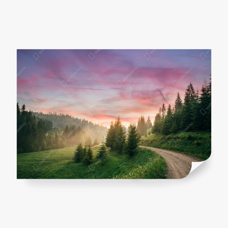 Carta da parati tramonto rosa nella foresta: sentiero tra le colline