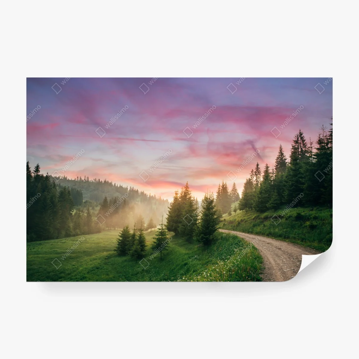 Carta da parati tramonto rosa nella foresta: sentiero tra le colline • Wallissimo® Carta da parati tramonto rosa nella foresta: sentiero tra le colline • Wallissimo®