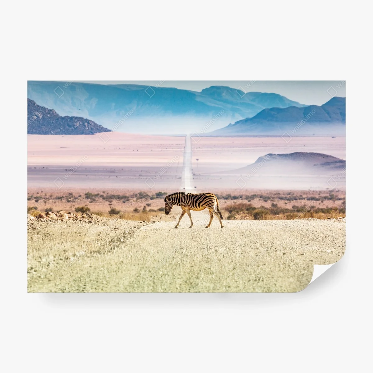 Carta da parati zebra che attraversa la strada infinita • Wallissimo®