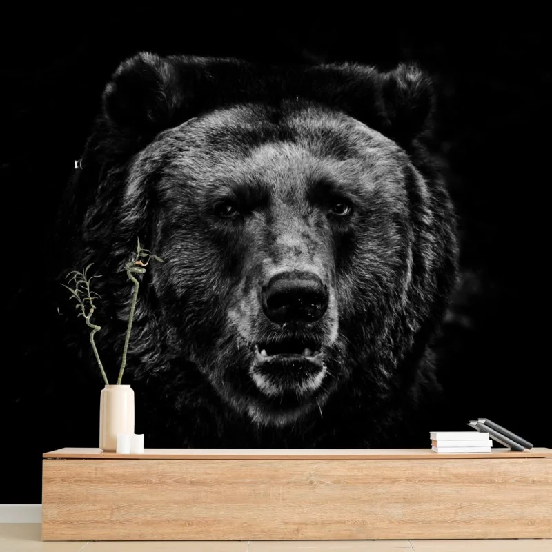 Carta da parati sguardo profondo dell'orso