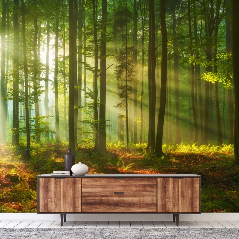 Carta da parati mattina luminosa nella foresta