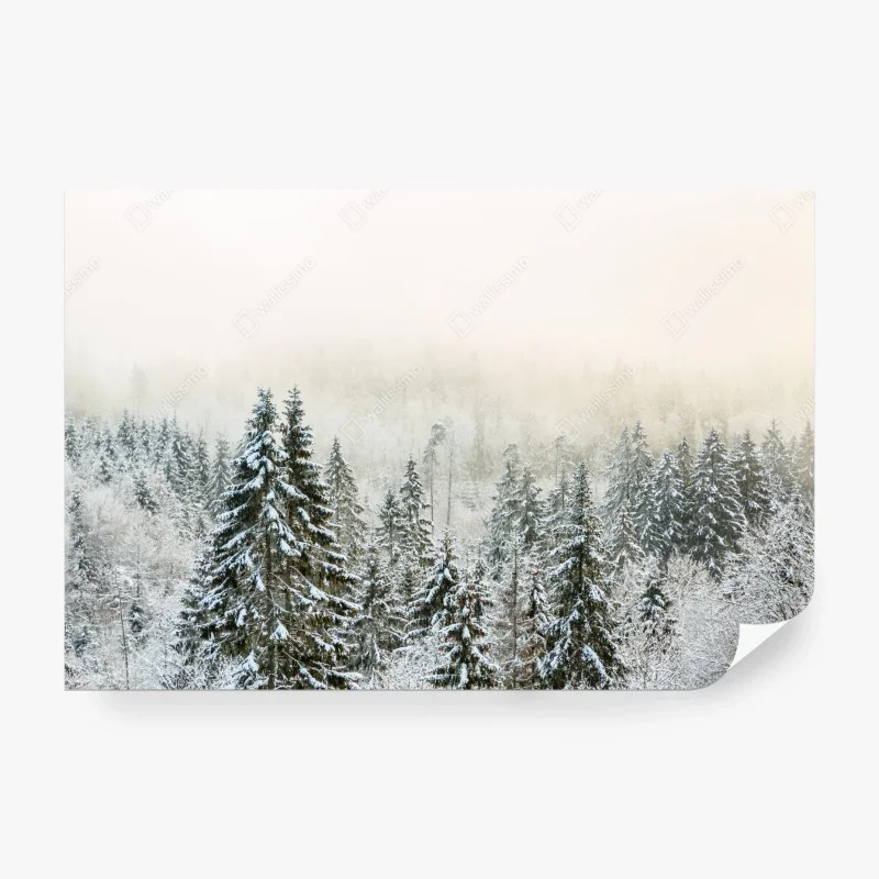 Carta da parati foresta innevata nella nebbia