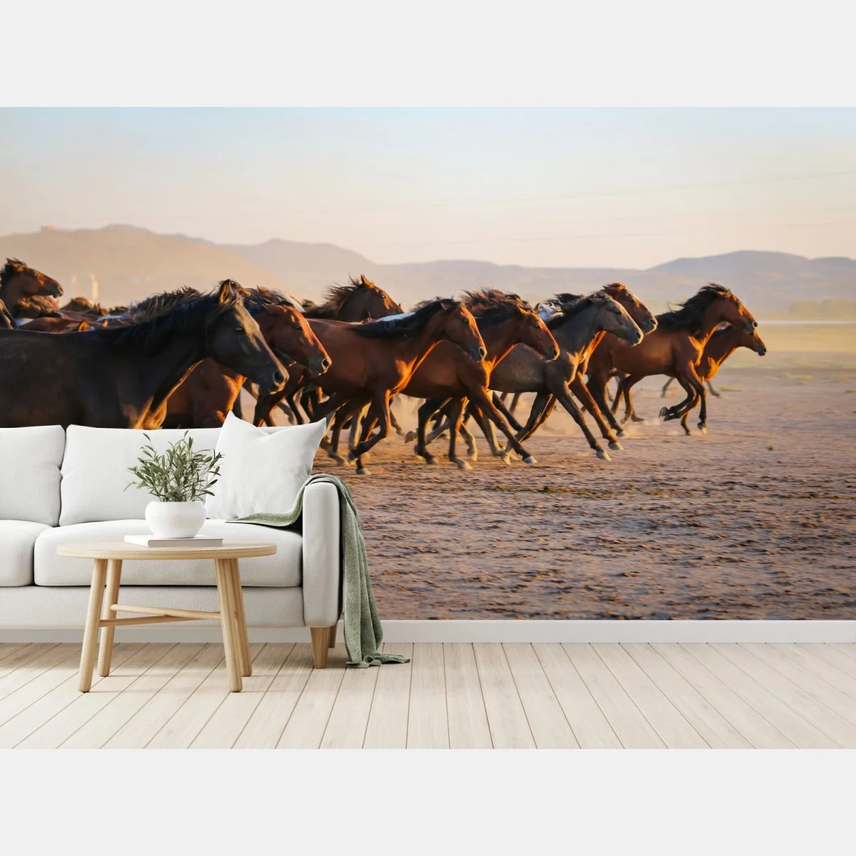 Carta da parati cavalli Yilki al galoppo nelle pianure di Kayseri • Wallissimo® Carta da parati cavalli Yilki al galoppo nelle pianure di Kayseri • Wallissimo®