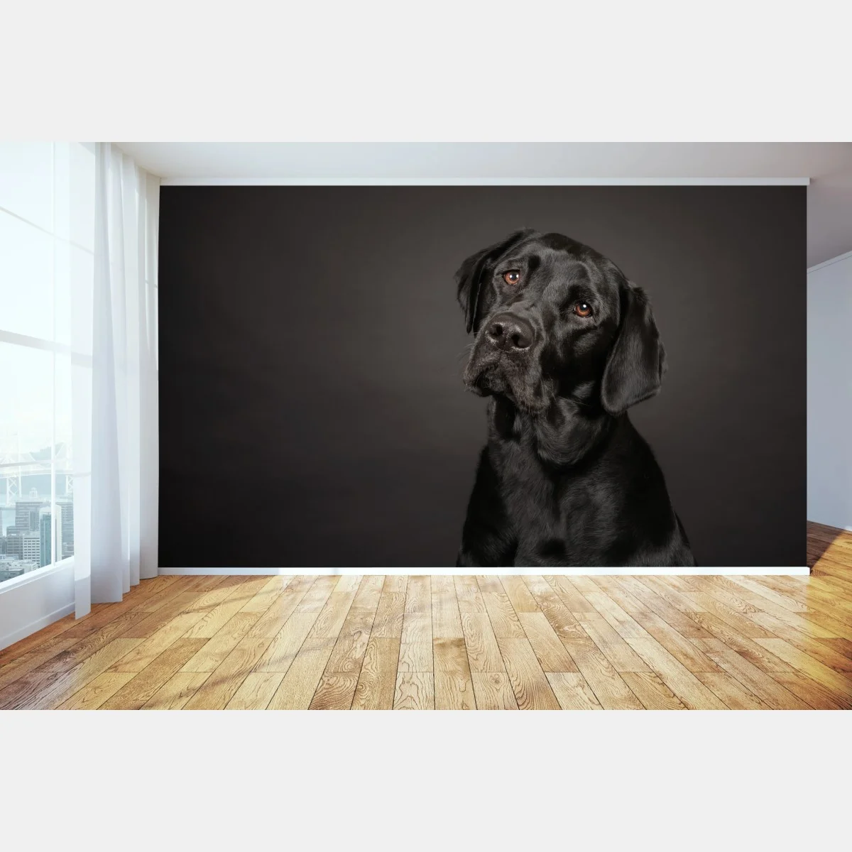 Carta da parati ritratto elegante di labrador nero • Wallissimo® Carta da parati ritratto elegante di labrador nero • Wallissimo®