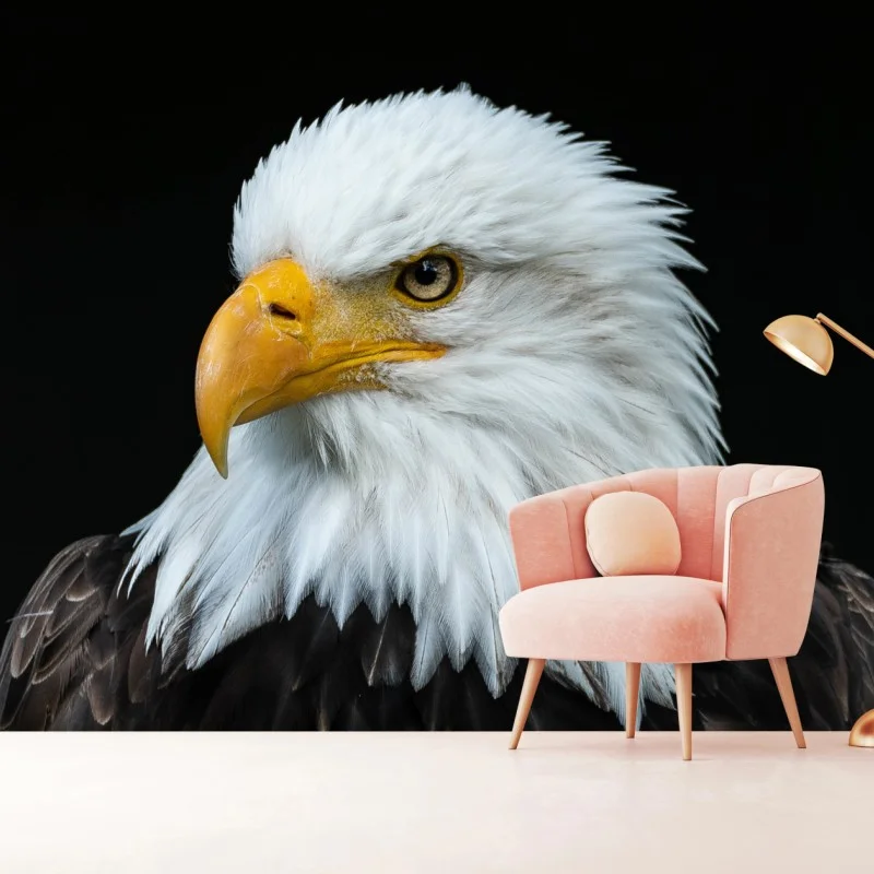 Carta da parati ritratto maestoso di aquila in primo piano