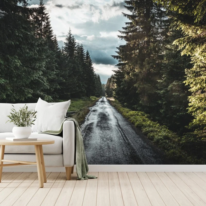 Carta da parati strada nella foresta al crepuscolo