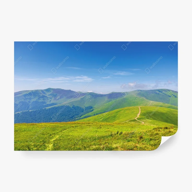 Carta da parati sentiero sulle colline di Borzhava