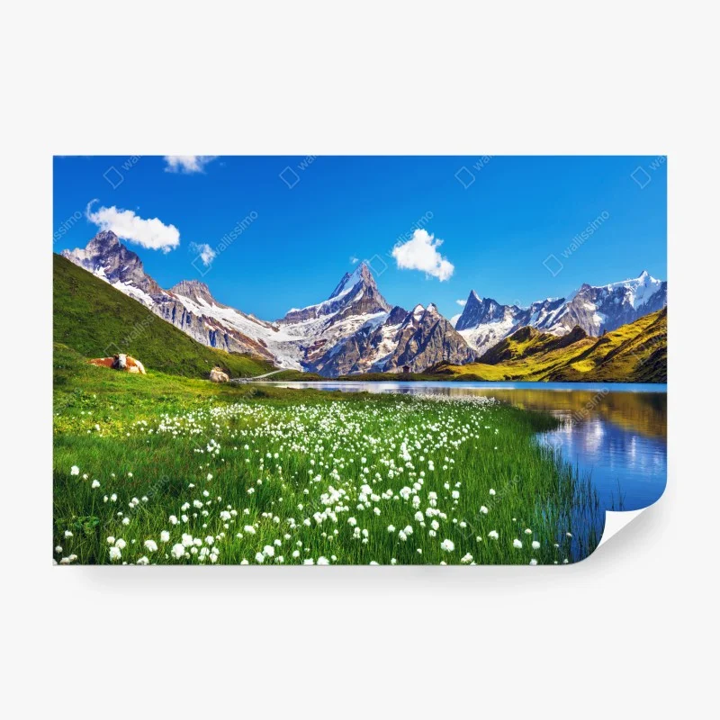 Carta da parati paesaggio alpino con lago cristallino e prati fioriti