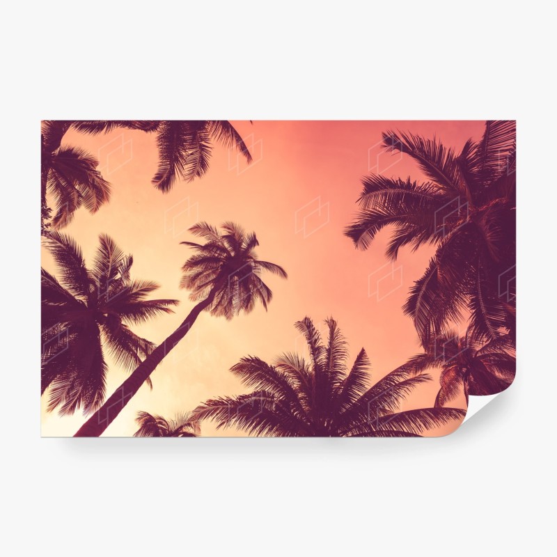 Carta da parati tramonto tropicale con palme