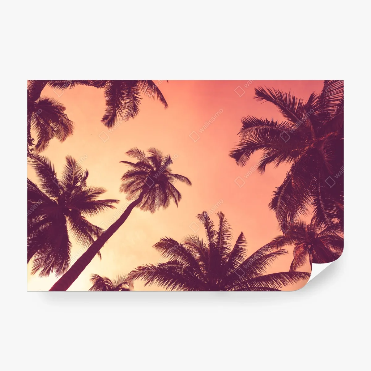 Carta da parati tramonto tropicale con palme • Wallissimo®