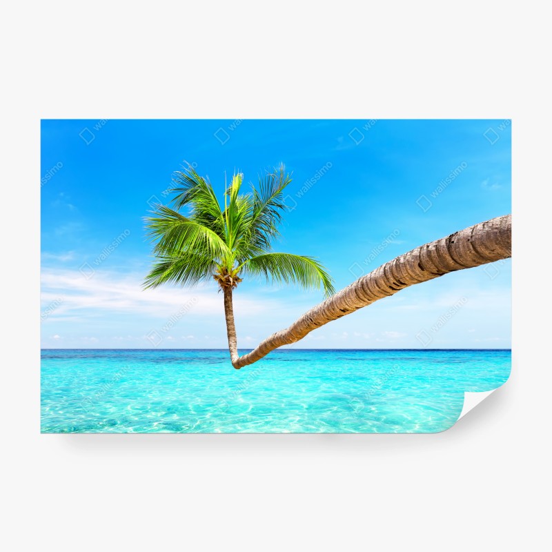 Carta da parati oasi tropicale a Punta Cana