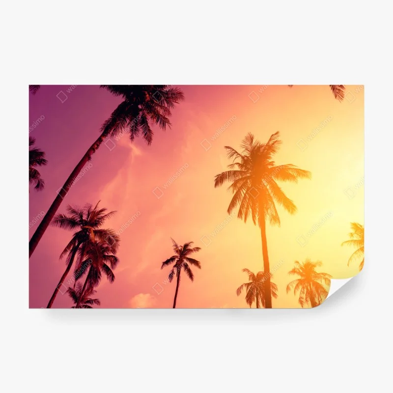 Carta da parati tramonto tropicale con palme