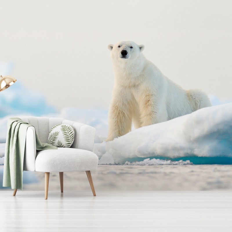 Carta da parati orso polare sul bordo del ghiaccio, Svalbard