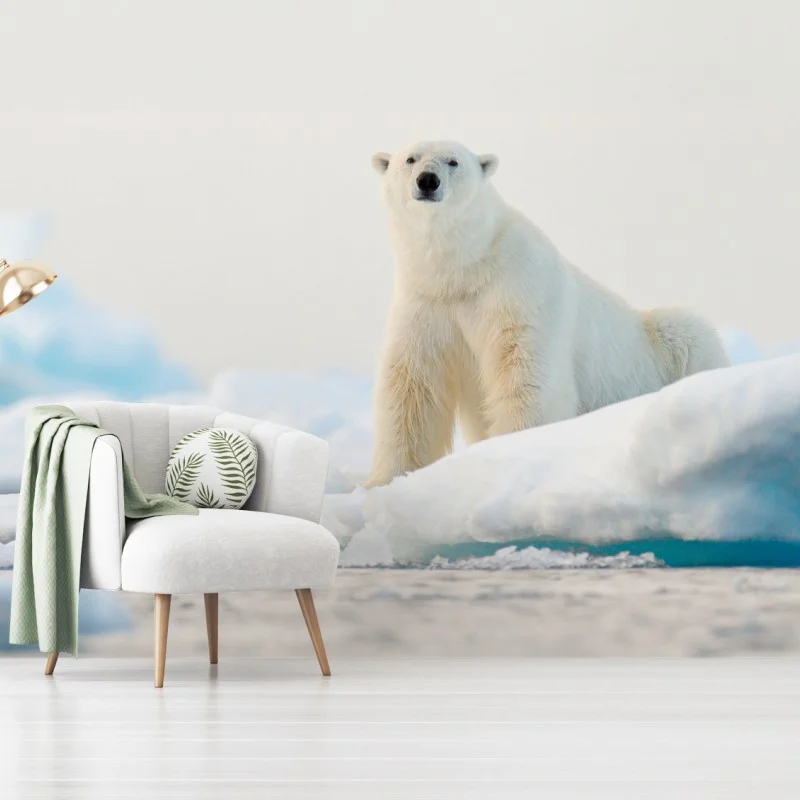 Carta da parati orso polare sul bordo del ghiaccio, Svalbard
