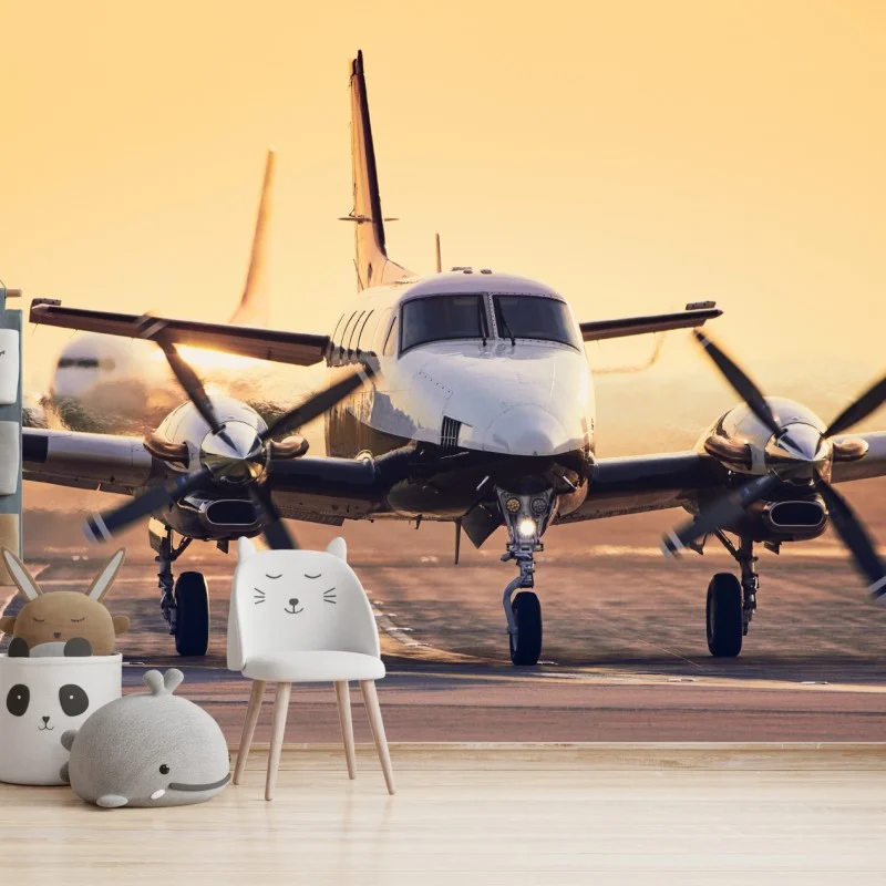 Carta da parati aereo bimotore al tramonto