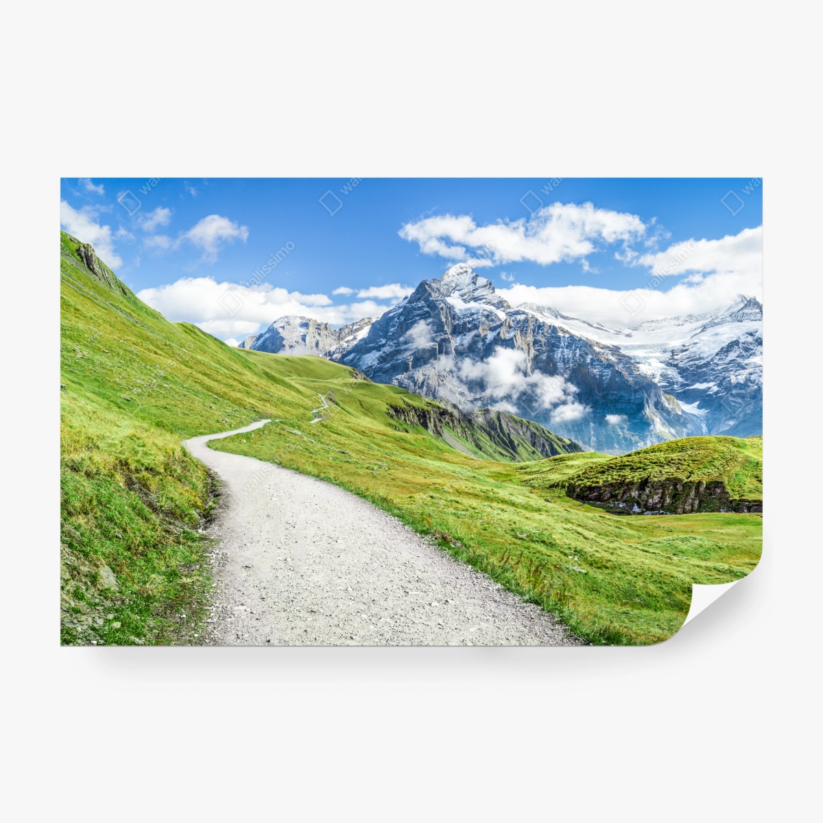 Carta da parati sentiero alpino verso vette innevate • Wallissimo®