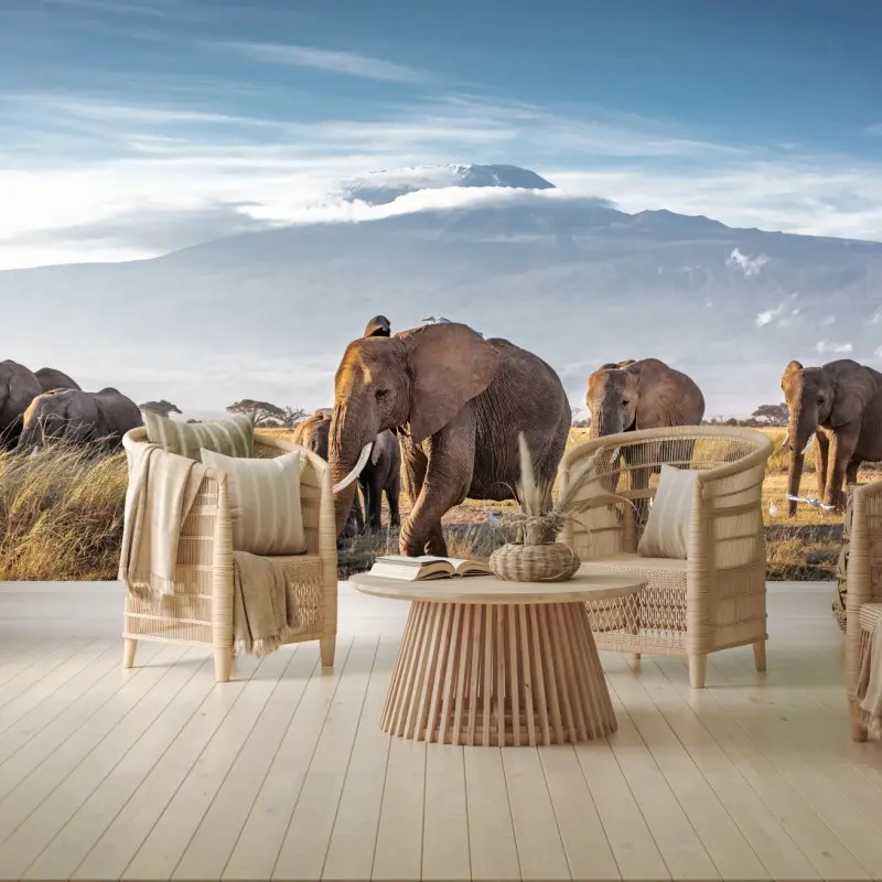 Carta da parati mandria di elefanti nella savana di Amboseli davanti a monte Kilimanjaro