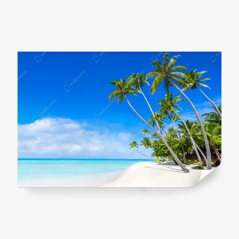Carta da parati paradiso tropicale con palme e mare turchese