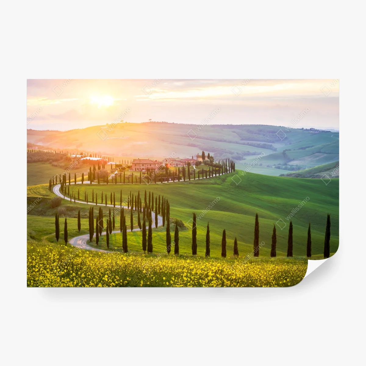 Carta da parati paesaggio collinare all'alba • Wallissimo® Carta da parati paesaggio collinare all'alba • Wallissimo®