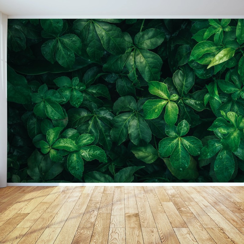 Carta da parati fogliame tropicale in verde profondo