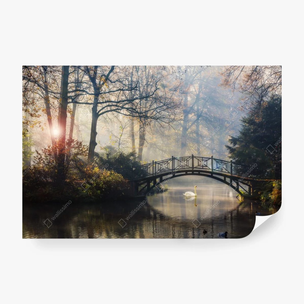 Carta da parati ponte antico nella nebbia autunnale • Wallissimo® Carta da parati ponte antico nella nebbia autunnale • Wallissimo®