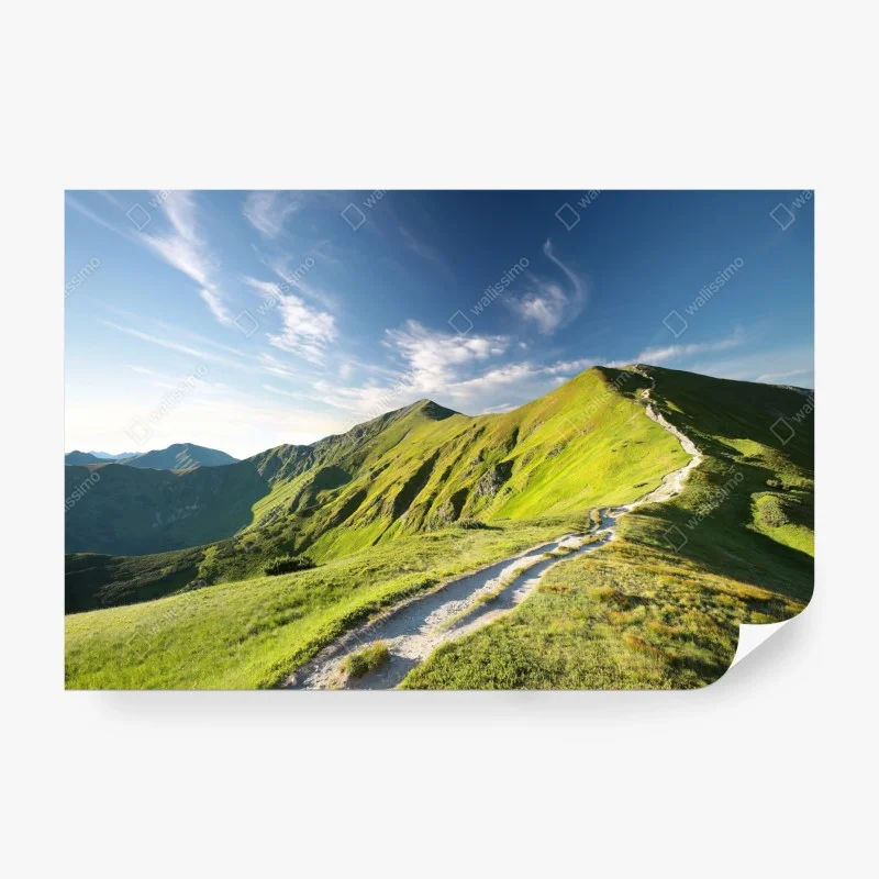 Carta da parati sentiero verso la vetta in colline verdi