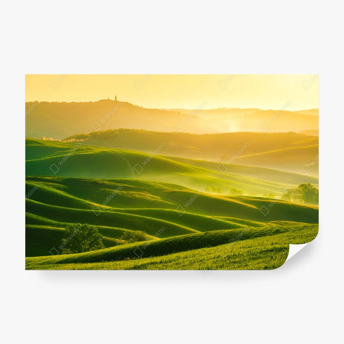 Carta da parati morbide colline dorate all'alba • Wallissimo® Carta da parati morbide colline dorate all'alba • Wallissimo®