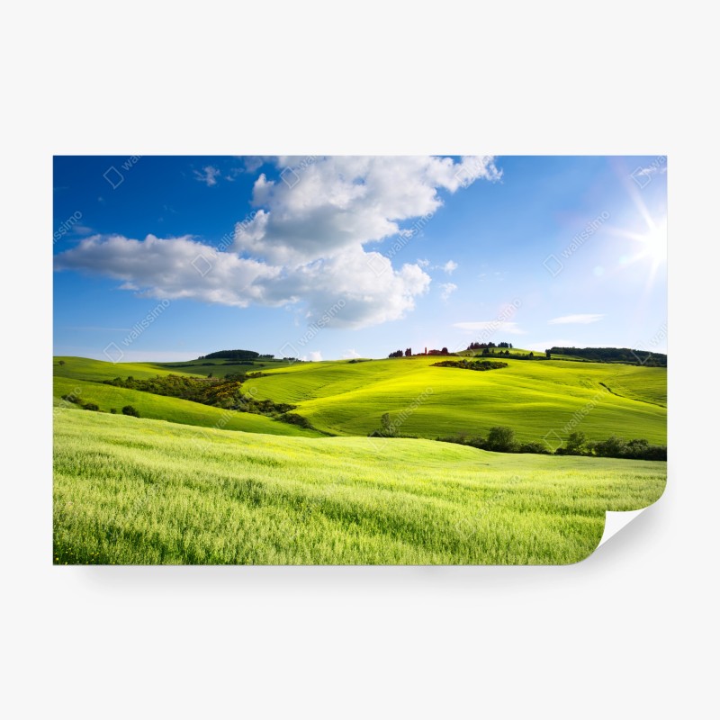 Carta da parati tramonto sulle colline della Toscana