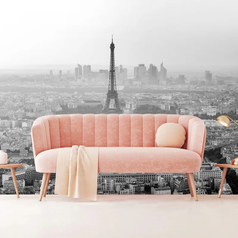 Carta da parati vista aerea monocromatica di Parigi con la Torre Eiffel