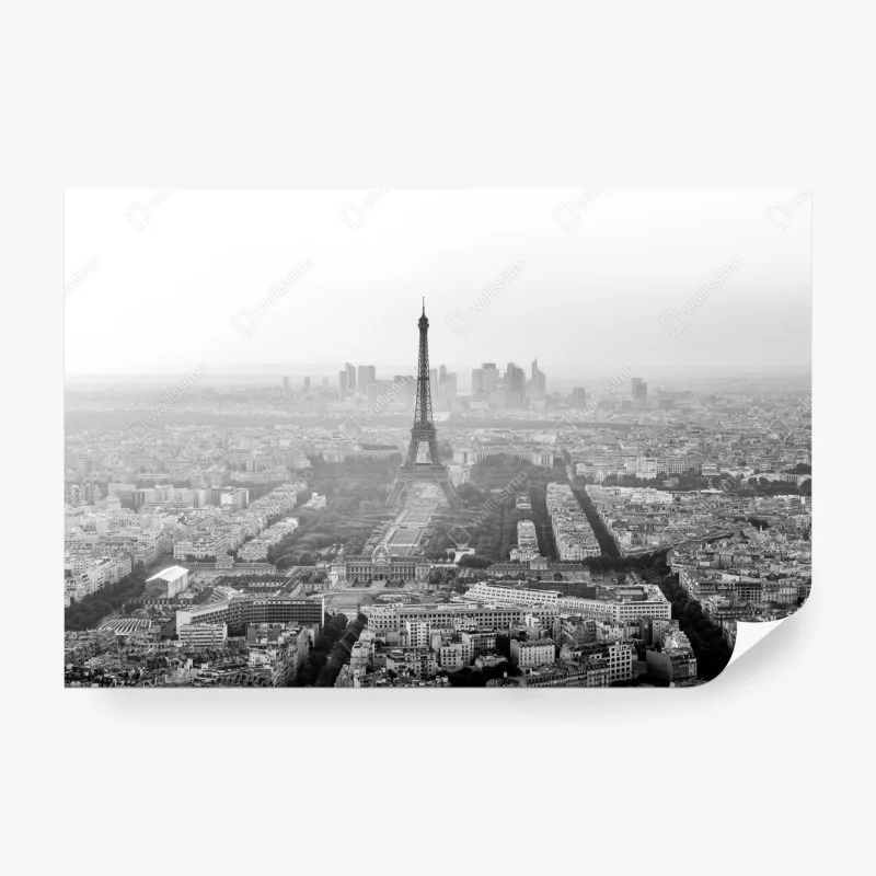 Carta da parati vista aerea monocromatica di Parigi con la Torre Eiffel