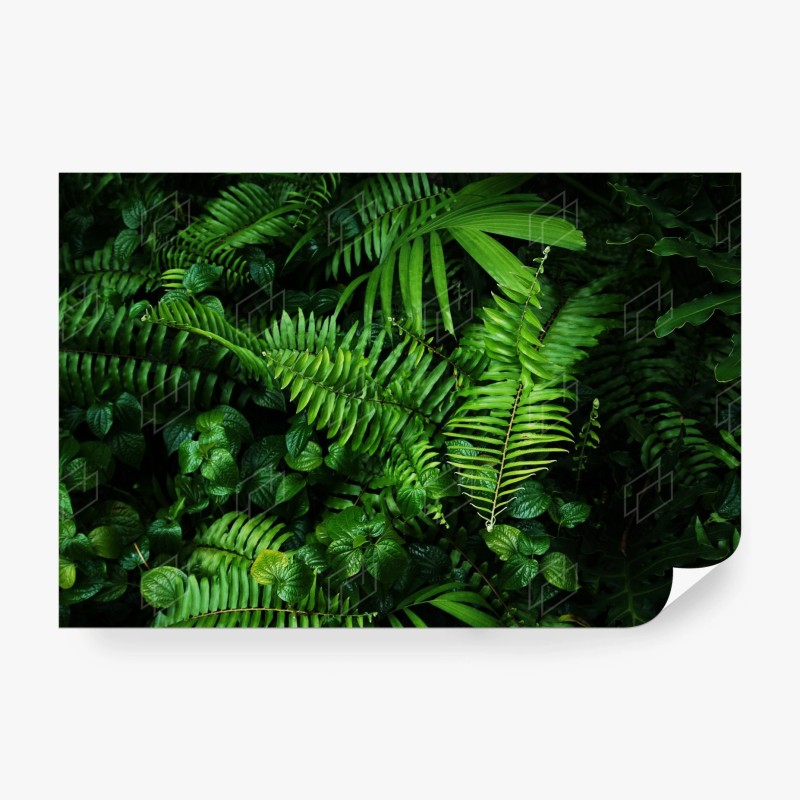 Carta da parati parete verde di felci tropicali