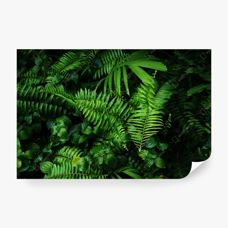 Carta da parati parete verde di felci tropicali